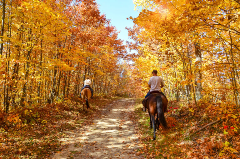 horseback riding on a fall country path